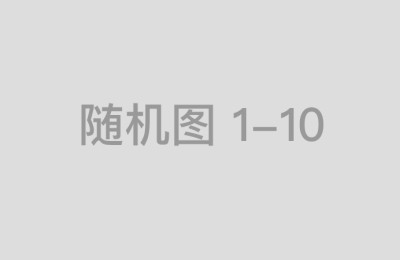 国内证券公司前十名的投资银行业务现状